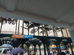 -海合安成都极地海洋公园