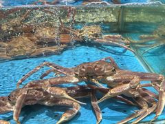 -喜棠·长沙家宴·海鲜·湘菜(麓谷店)