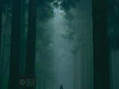 -武陵山森林公园