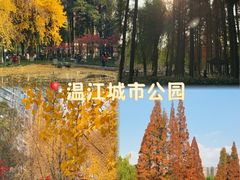 -温江公园