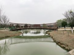 -西安浐灞国家湿地公园