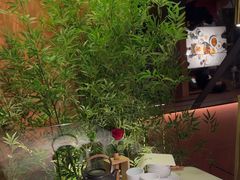 -初蓉丨遇见新川菜(亲贤街荣耀店)