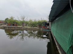 -老杨砂锅鱼庄
