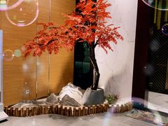 -璞·澐间影院式足道SPA(尚悦湾店)
