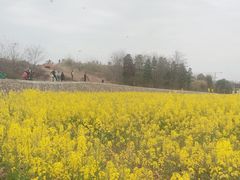 -白鹭湾湿地公园