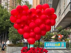 -北边的花店(泛悦城市广场店)