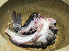 -云中鱼蒸汽石锅鱼(川沙百联店)