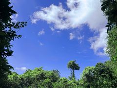 -七仙岭温泉国家森林公园