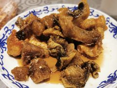 崇明山羊肉暖锅-明珠湖天鹅苑·农家菜馆