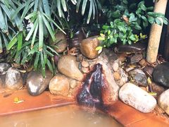 -天赐温泉