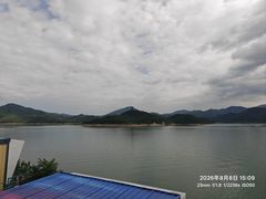 -望湖烤鱼
