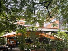 -缘生态云南菜·野生菌庭院餐厅(华侨城店)