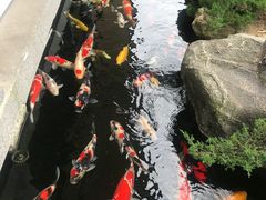 -贵阳高新惠诚食品有限公司