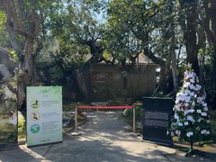 -Chom Cafe and Restaurant