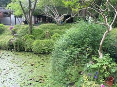 -上海醉白池公园