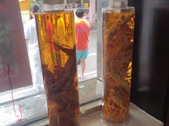 -长顺参鸡汤店(西塔总店)