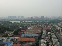 -梧桐餐厅(泉城路店)