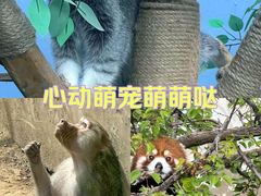 -青藏高原野生动物园