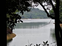 -红花湖景区