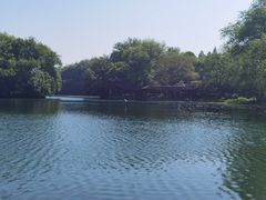-西院1号(龙井店)