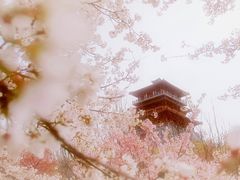 -古柏渡飞黄旅游区