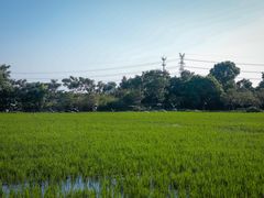 -梁鸿国家湿地公园