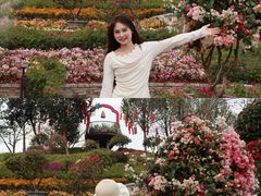-东莞植物园