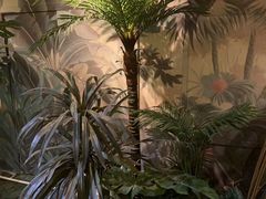 -泰谷玲抓龙筋SPA·泰式按摩(五一广场店)