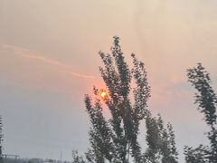 -长春市南湖公园