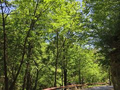 -洛阳白云山景区