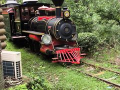 -合肥滨湖国家森林公园