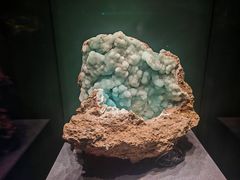 -国家自然博物馆