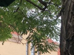 -青岛市江苏路基督教堂