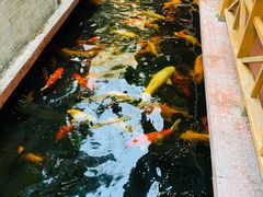 -侠成水上农庄(工业大道店)
