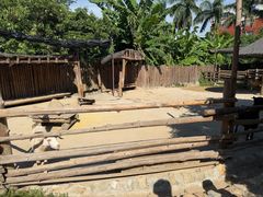 -泉州海丝野生动物世界