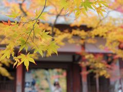 -常寂光寺