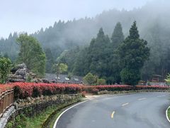 -井冈山风景名胜区-黄洋界