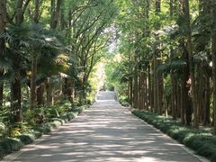 -同里国家湿地公园