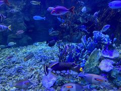 -太平洋海底世界