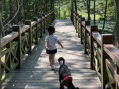 -桤木河湿地公园