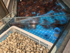 -星伦多自助料理(江阴万达店)
