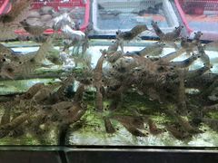 -红月湾海鲜饭店•沙滩海景(双月湾店)