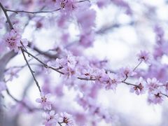 -三里河公园