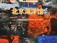 -北京海洋馆