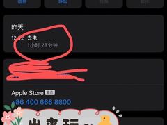 -Apple零售店(成都太古里店)