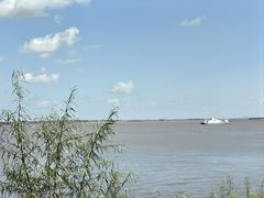 -黑瞎子岛探秘野熊园