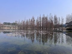 -白鹭湾湿地公园