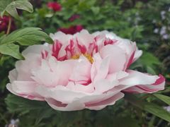 -玄武湖景区-情侣园游乐场