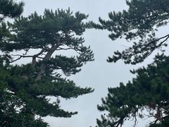 -妙峰山风景名胜区