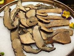 -芸山季·云南山珍菌火锅(人民广场来福士店)